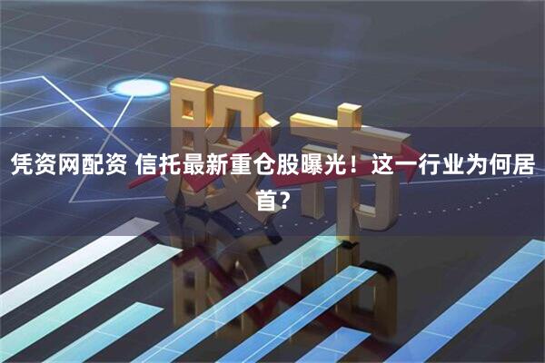 凭资网配资 信托最新重仓股曝光！这一行业为何居首？