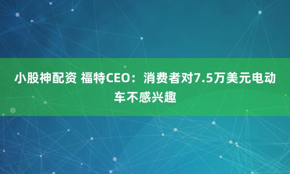 小股神配资 福特CEO：消费者对7.5万美元电动车不感兴趣