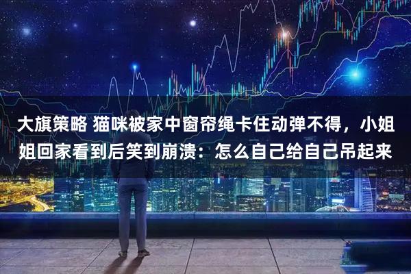 大旗策略 猫咪被家中窗帘绳卡住动弹不得，小姐姐回家看到后笑到崩溃：怎么自己给自己吊起来