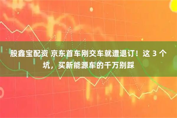 股鑫宝配资 京东首车刚交车就遭退订！这 3 个坑，买新能源车的千万别踩