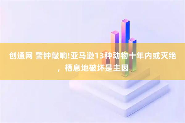 创通网 警钟敲响!亚马逊13种动物十年内或灭绝，栖息地破坏是主因